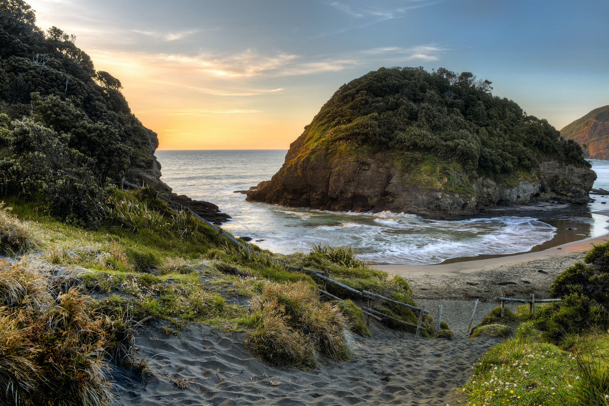 Natural New Zealand landscape with CtoMi products and greenery